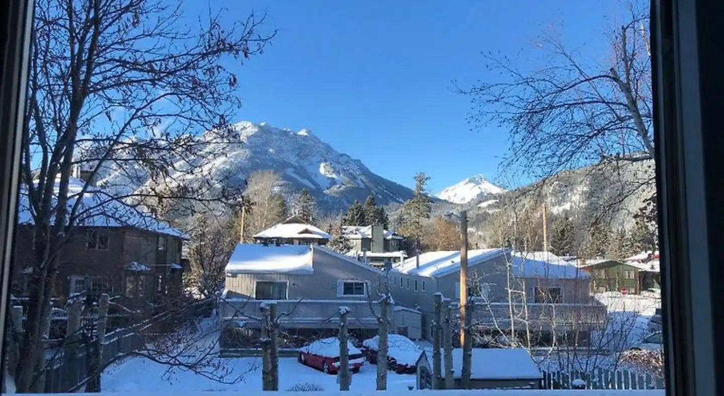 Mountain View Bed & Breakfast Terrasse