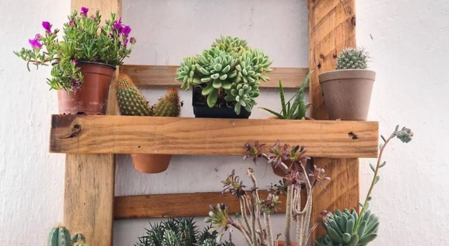 Bea's Bed & Breakfast LOUNGE_LOBBY