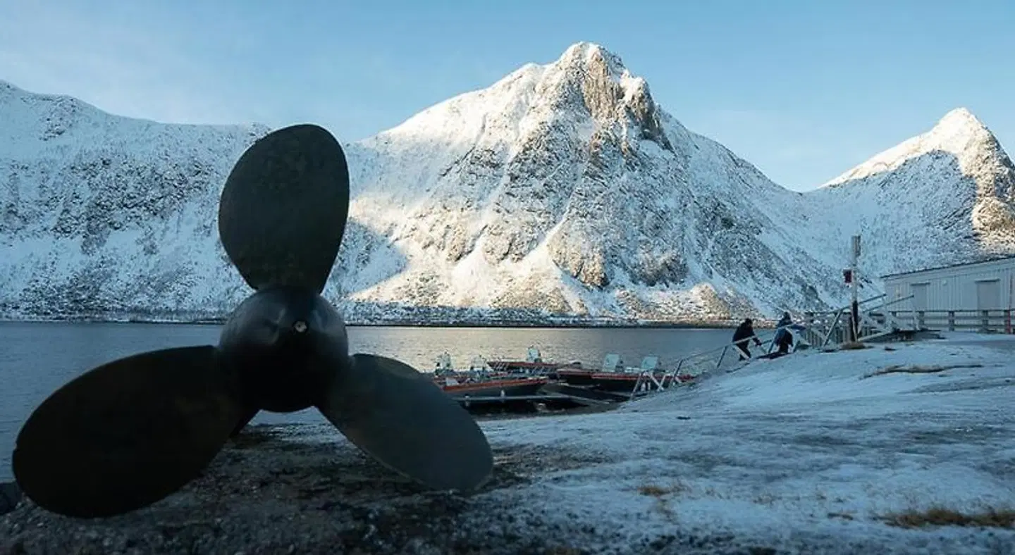 Northern Light Hotell/Camp Steinfjord Tiere