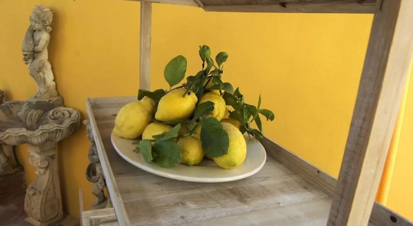 La Terrazza sul Mare Restaurant