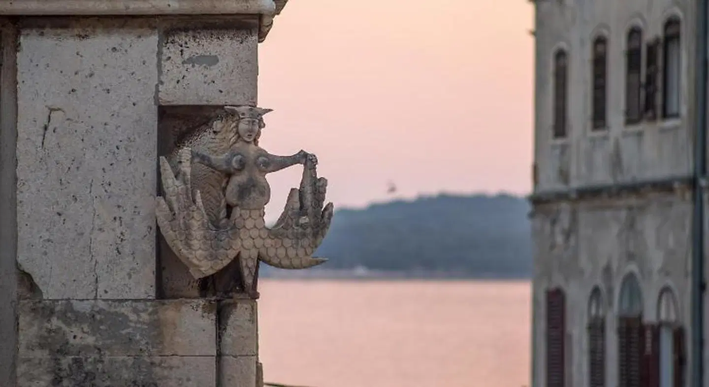 Apartment Forum Tiere