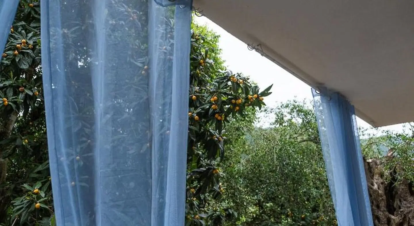 Villa Olive apartments Garten