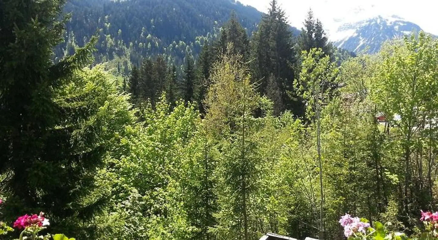 Widdersteinblick LANDSCAPE