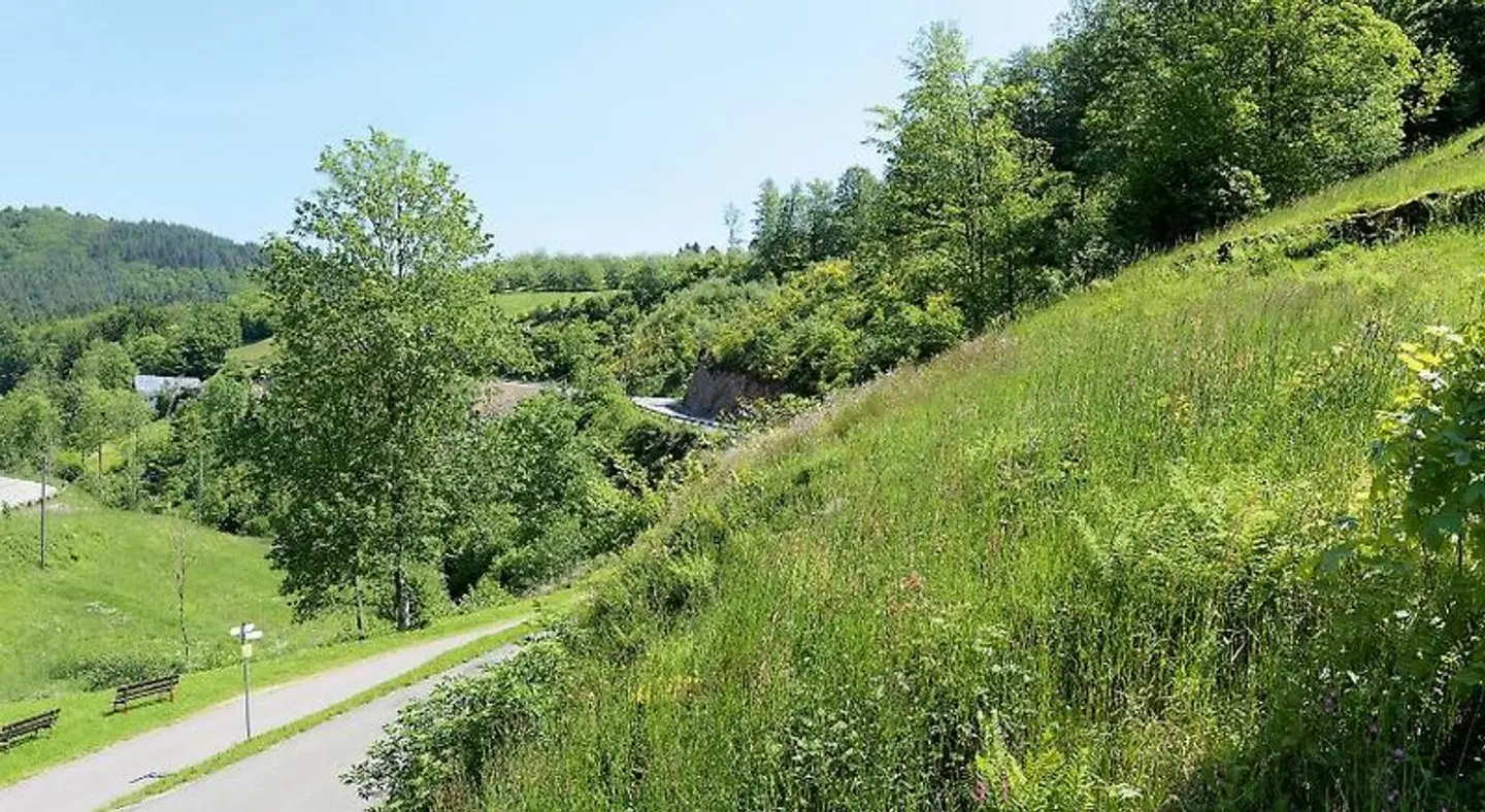 Gasthof Blume LANDSCAPE