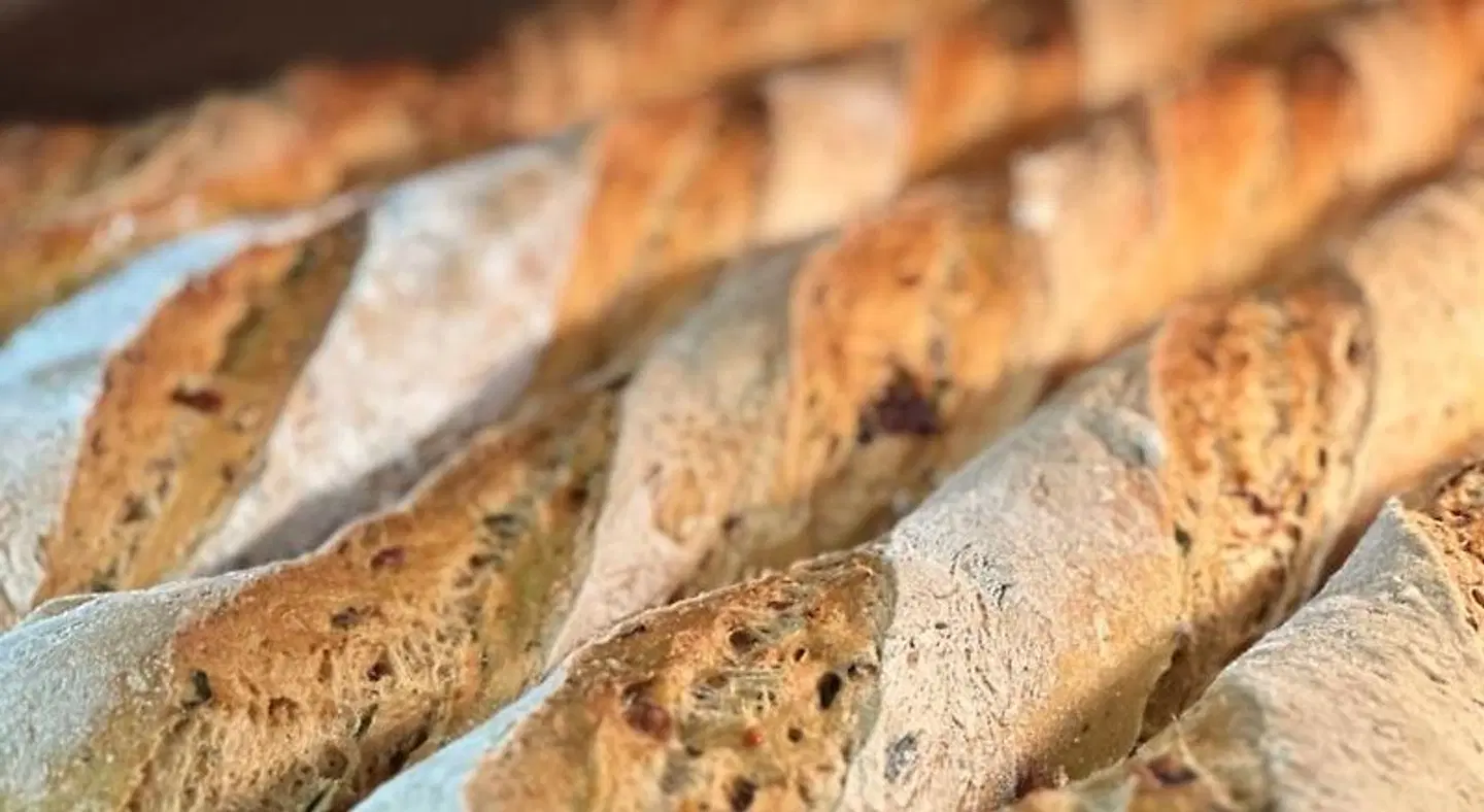 Hofgut Schellenberg Tiere