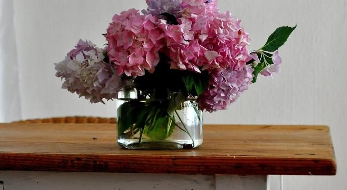 Haus & Hof Guest House Terrasse