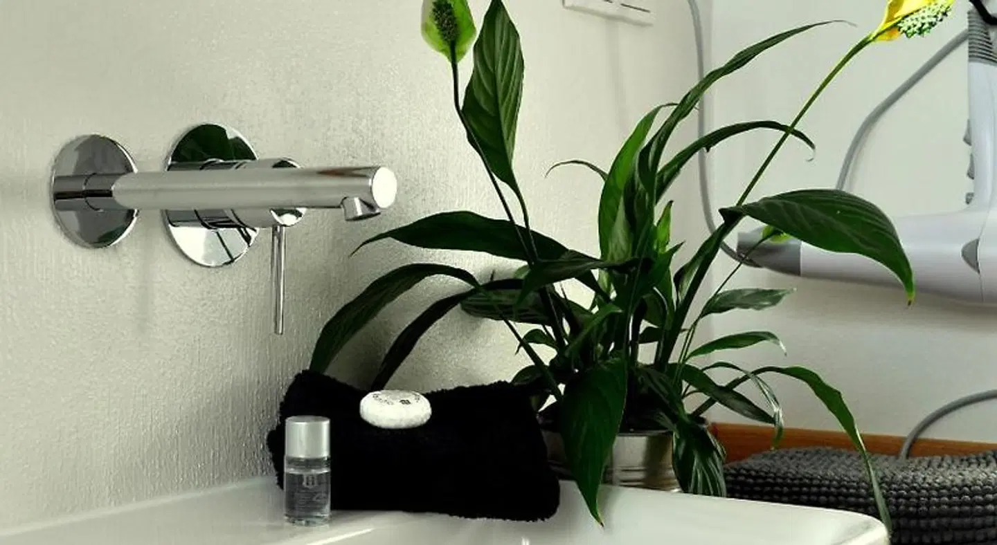 Haus & Hof Guest House ROOM_EXAMPLE