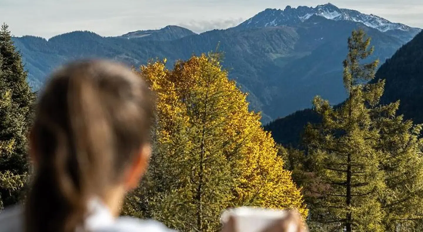 Arthurs Hotel am Achensee LANDSCAPE