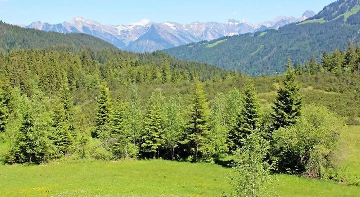 Alpengasthof Hörnlepass Kräuterhotel LANDSCAPE