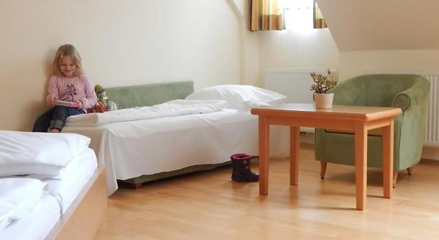 Hotel & Restaurant Neustifter ROOM_EXAMPLE