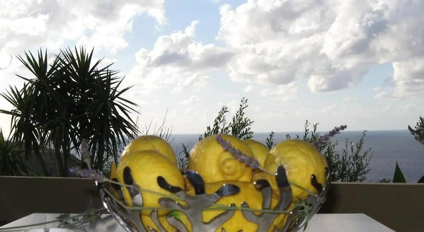 Eoliano B&B Tiere