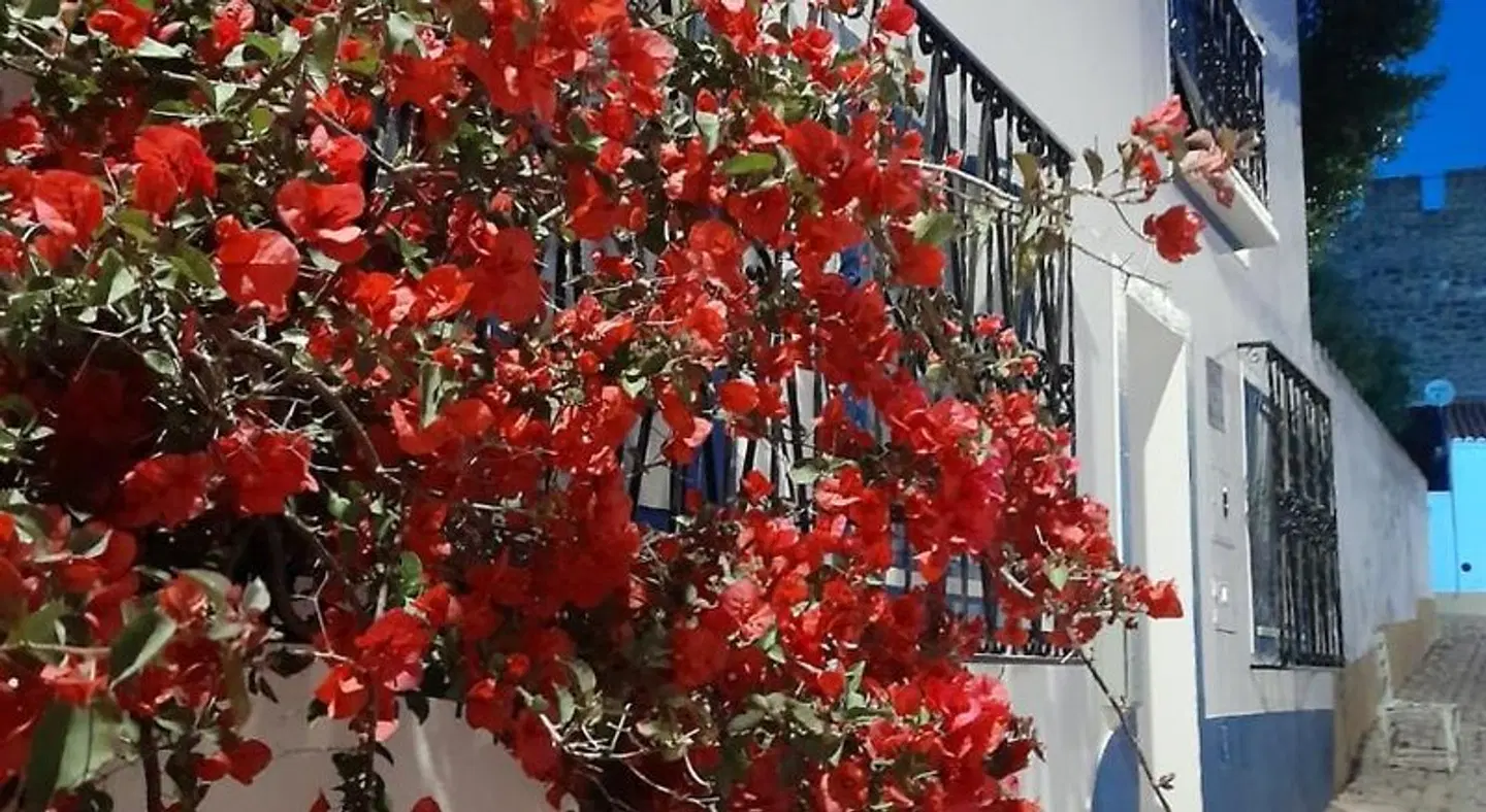 Casa De Terena EXTERIOR