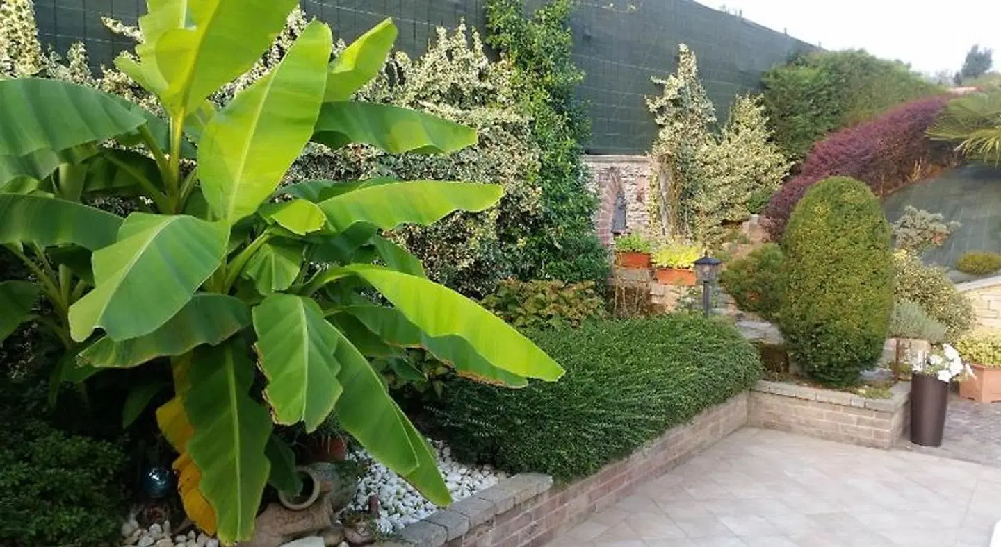 Bed & Breakfast Villa Laura Garten