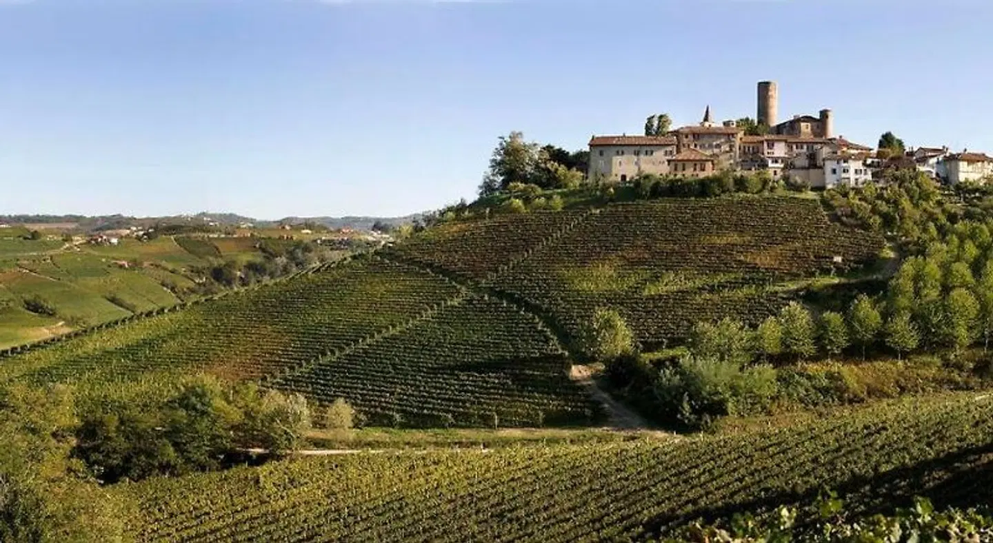 Casa Nalin LANDSCAPE