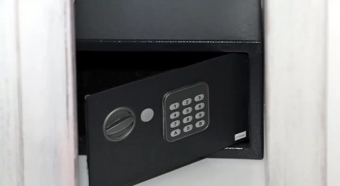 Pansion Delfin Konferenz