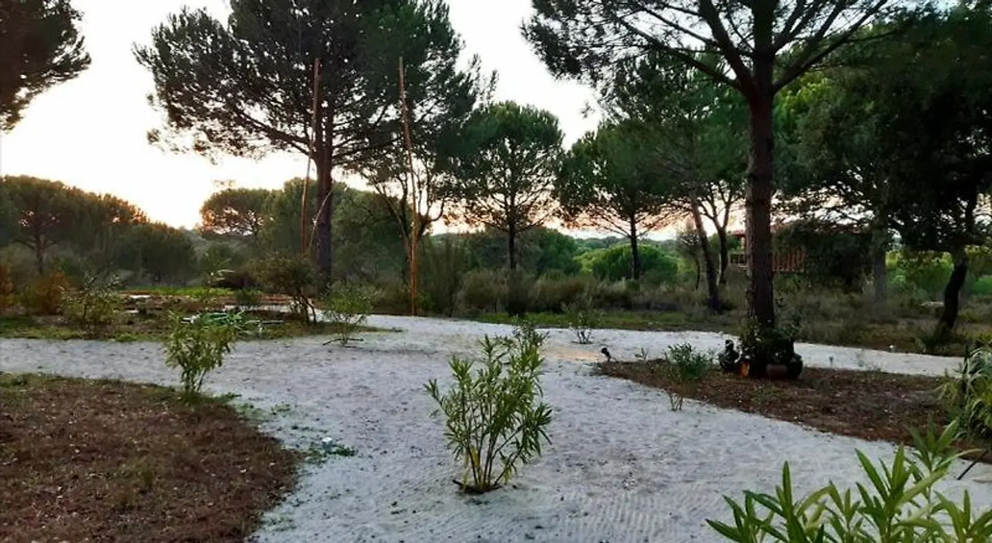 Ying Yang Monte da Lua Strand