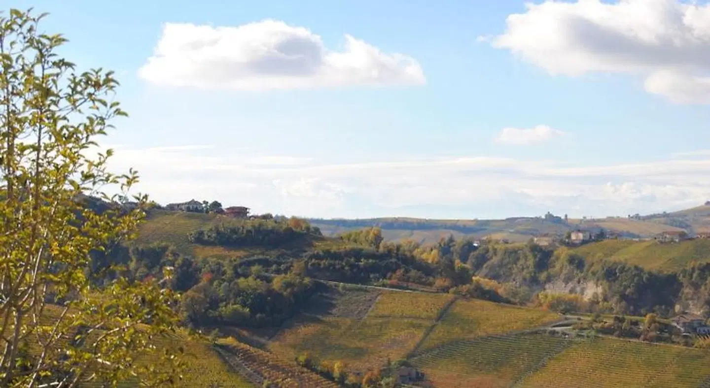 I Grappoli LANDSCAPE