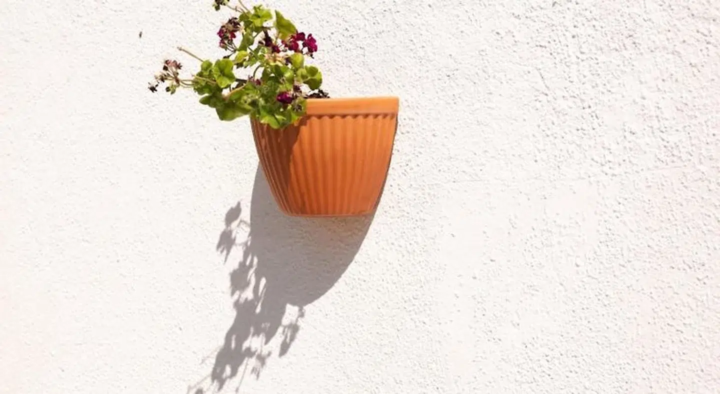 B&B Silvercoast Casa das Flores Strand