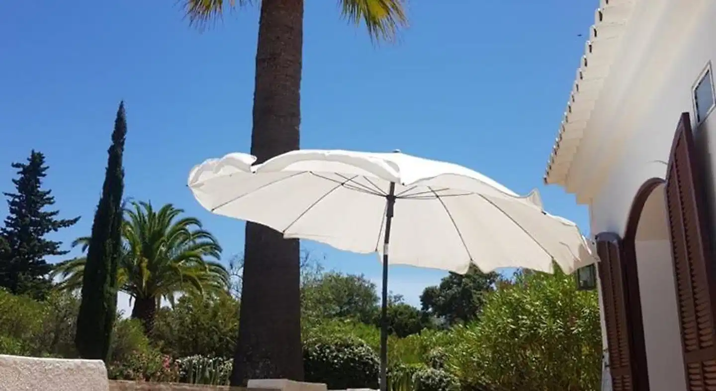 Monte-Bougainvillea Garten