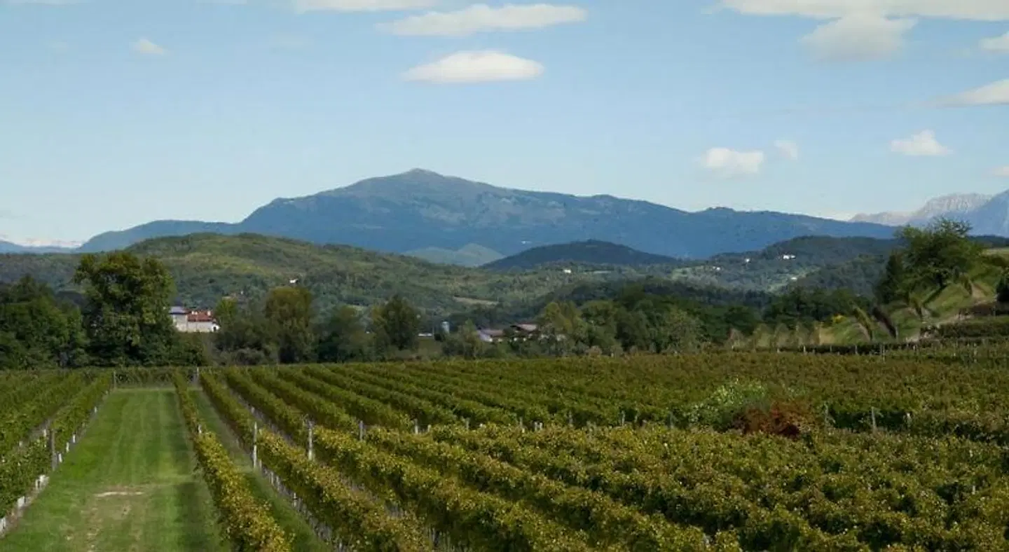 Alloggio Agrituristico CORTE SAN BIAGIO LANDSCAPE