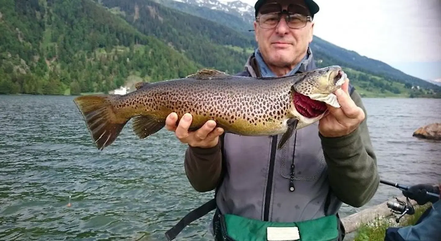 Vital Hotel Ortlerspitz Tiere