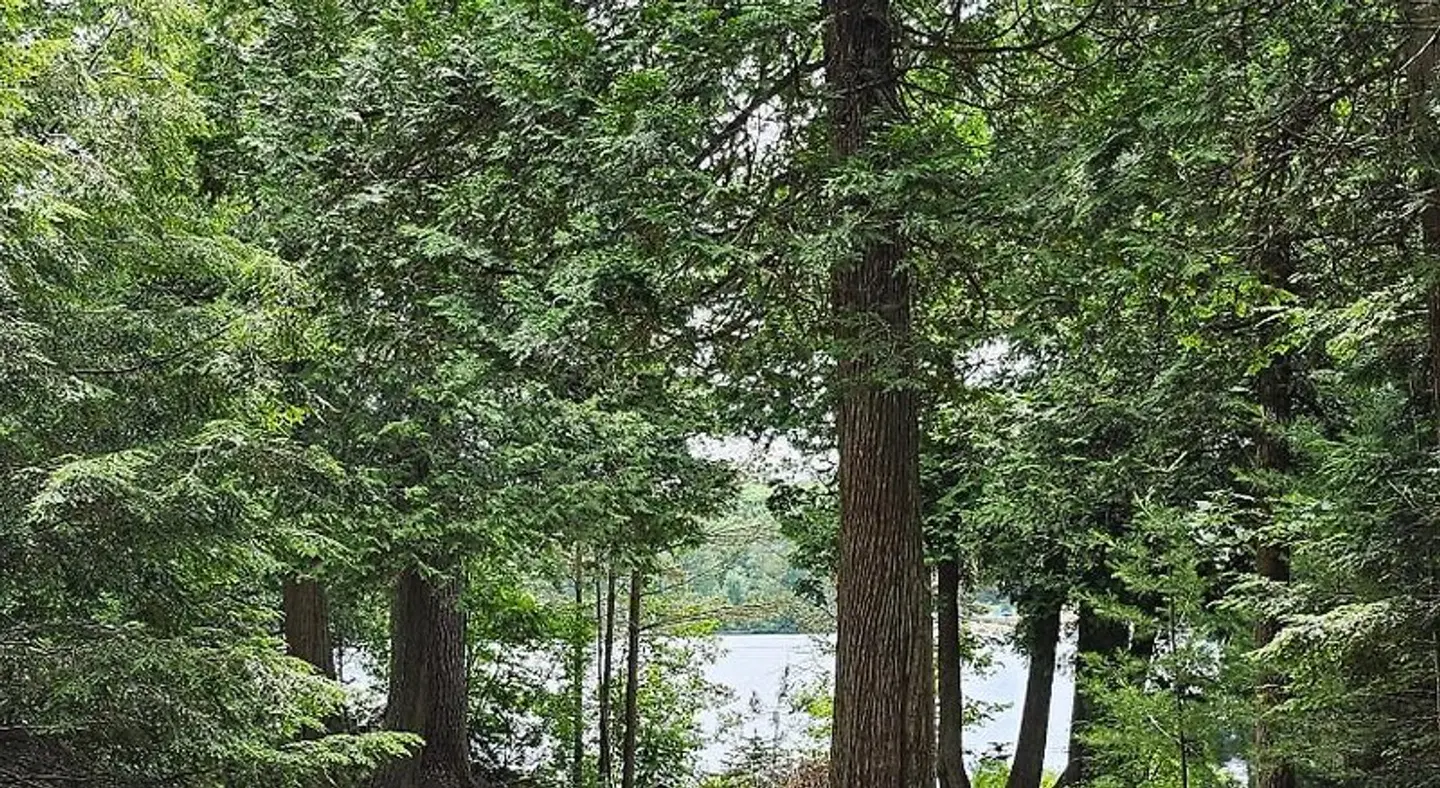 Parkway Cottage Resort and Trading Post LANDSCAPE