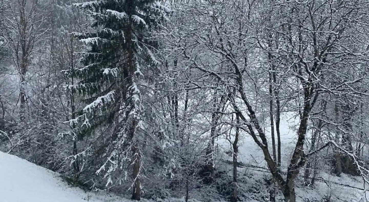 Ferienpark Oberallgäu Landschaft