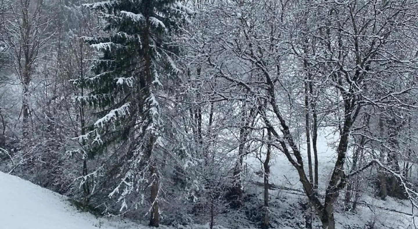 Ferienpark Oberallgäu LANDSCAPE