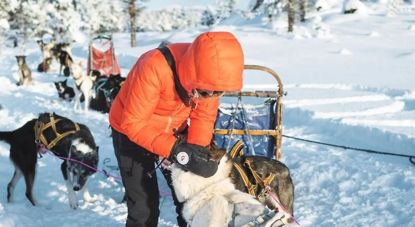Sjodalen Hyttetun og Camping SPORTS_AND_LEISURE