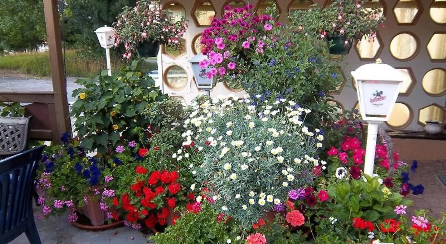 Hotel & Pension Aßmann Garten