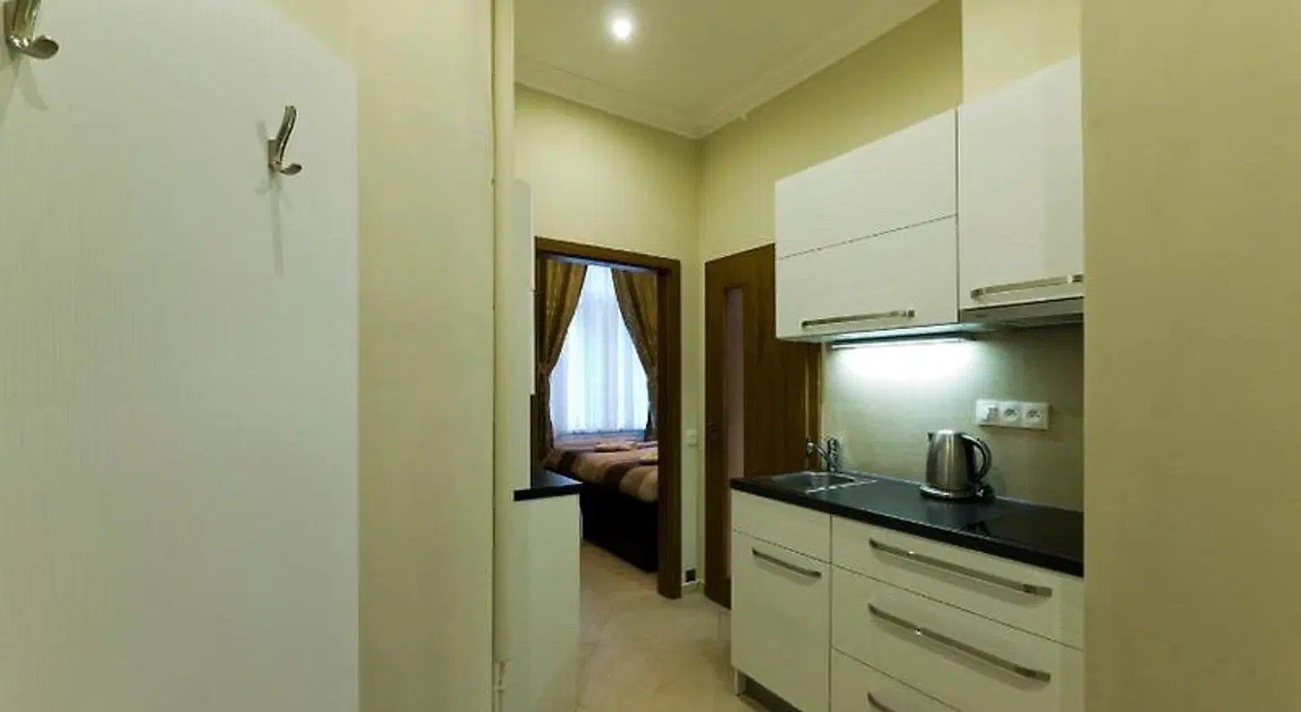 Apartment - Karla Capka Street ROOM_EXAMPLE