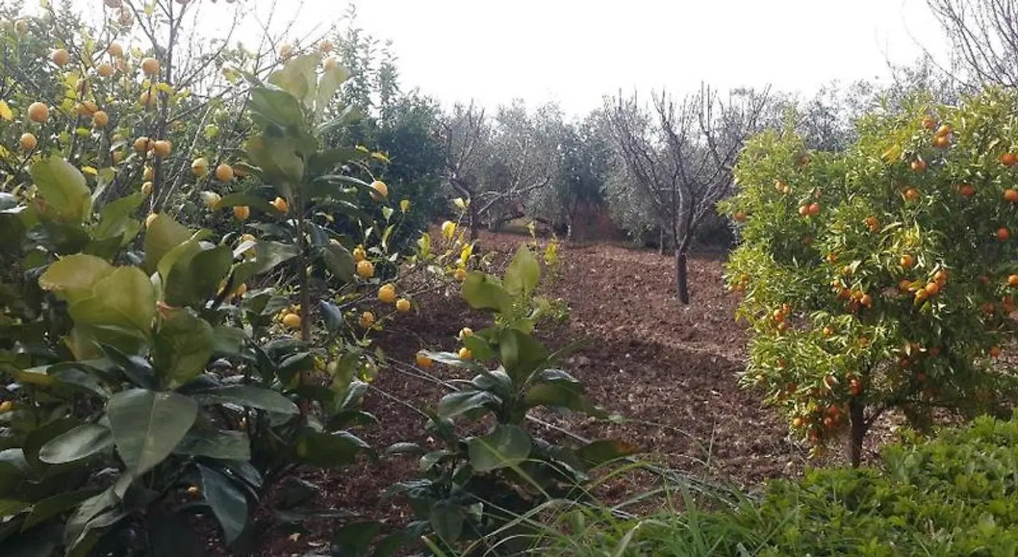 Kasbah Atfel Garten