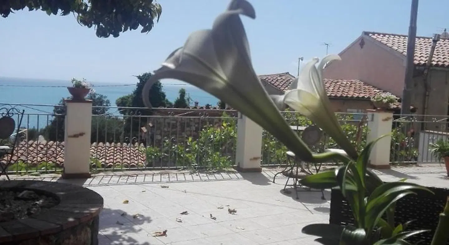 B&B Mariposa Strand