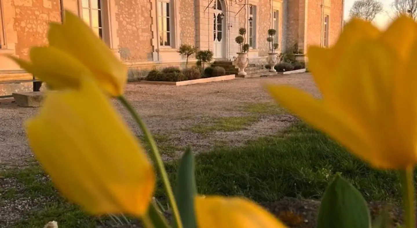Chateau de Montaupin Terrasse