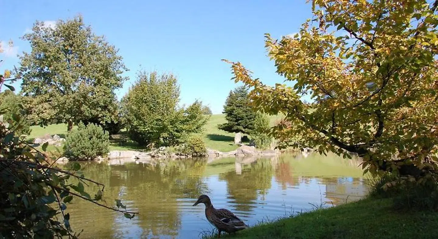 Hotel Wolfensberg LANDSCAPE