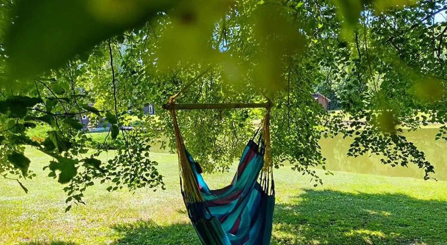 Aliai Garten