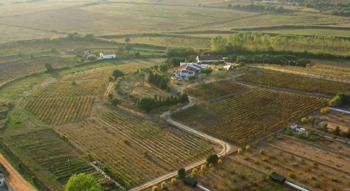Monte da Casteleja LANDSCAPE