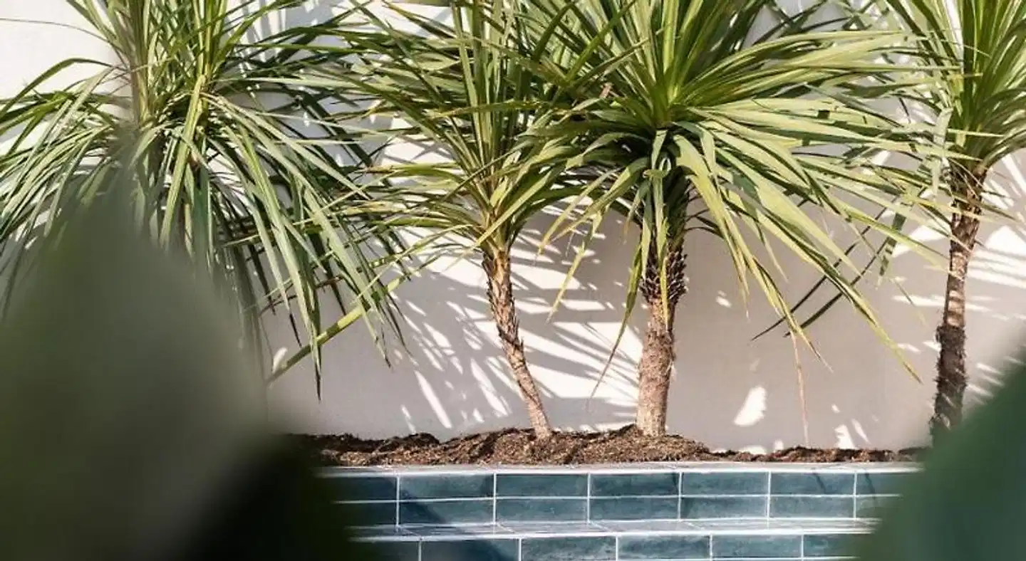 La Maison de Jean by Maison Bacou Hallenbad