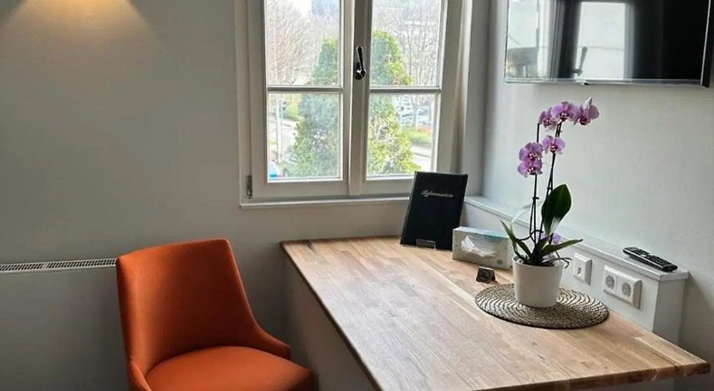 Zum Ochsen ROOM_EXAMPLE