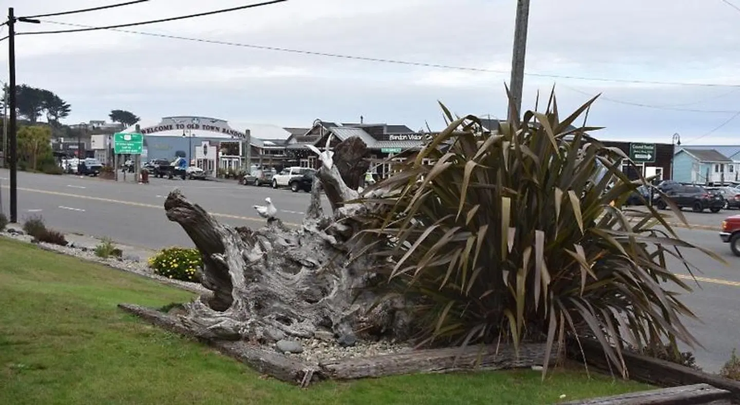 Lighthouse Cove Inn LANDSCAPE