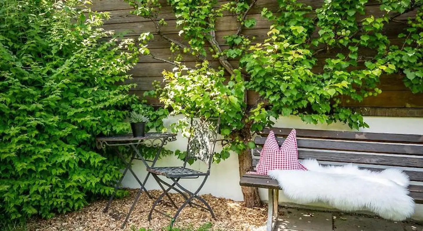 Schedererhaus Garten