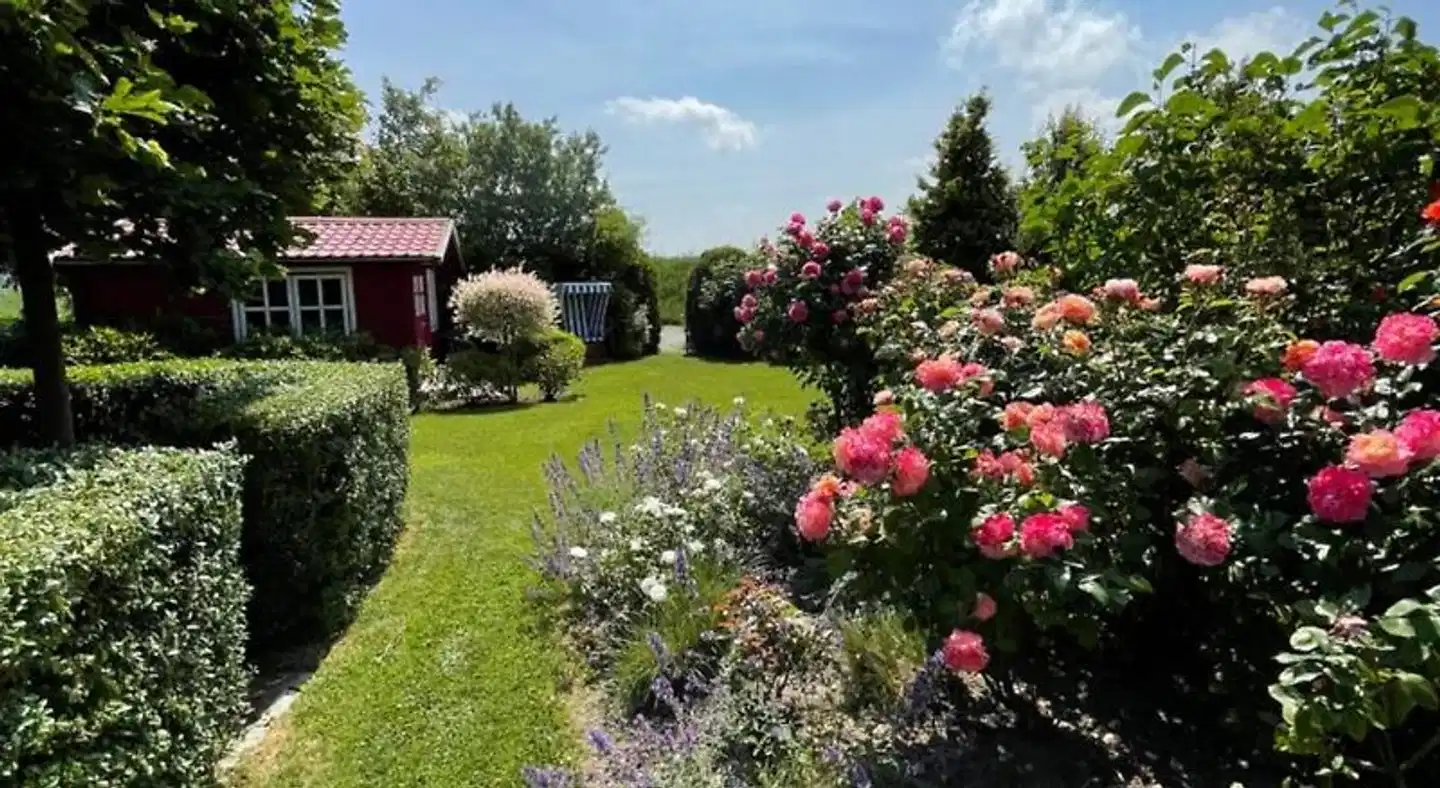 Strandkorb Garten