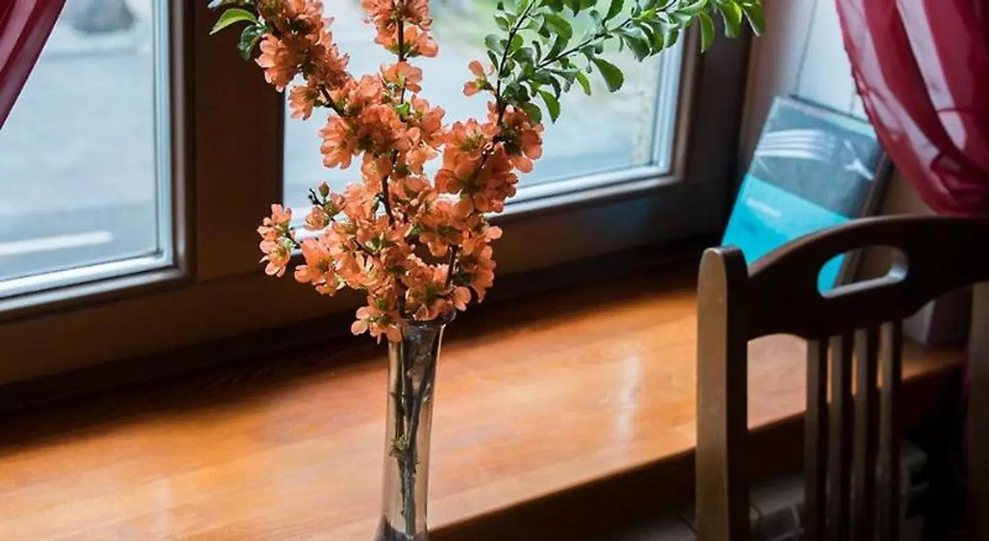 Veski Guesthouse Terrasse