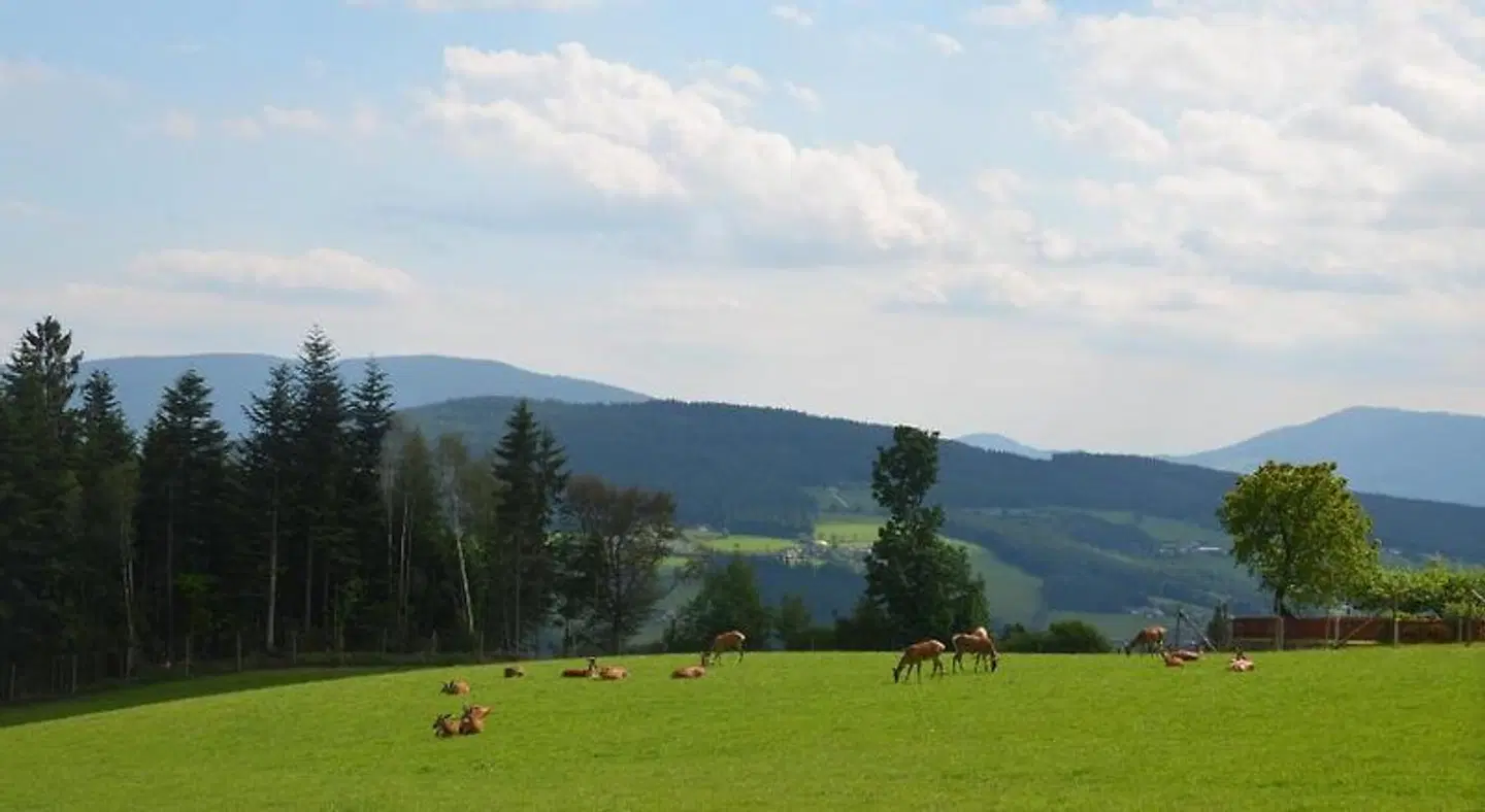 Wildwiesenhof Landschaft