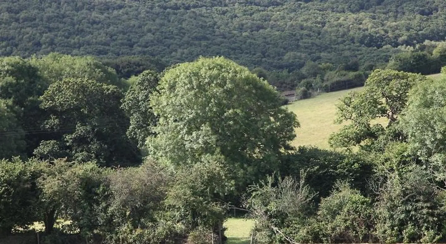 County Arms LANDSCAPE