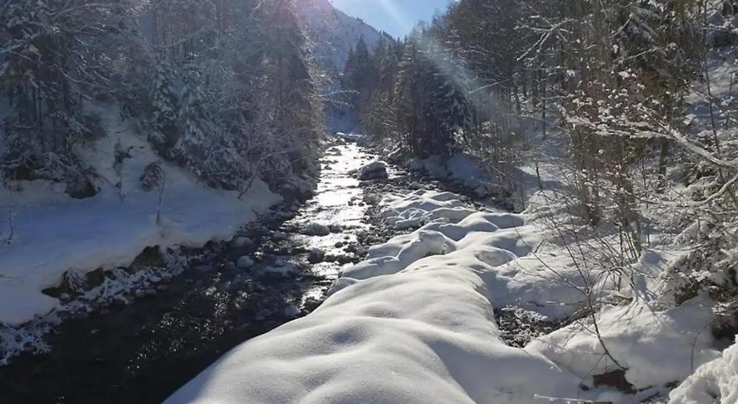 Walser Lodge Landschaft