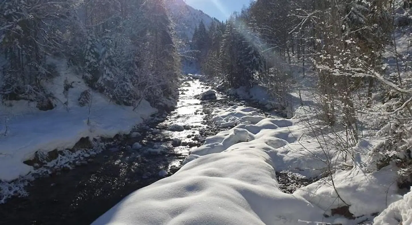 Walser Lodge LANDSCAPE