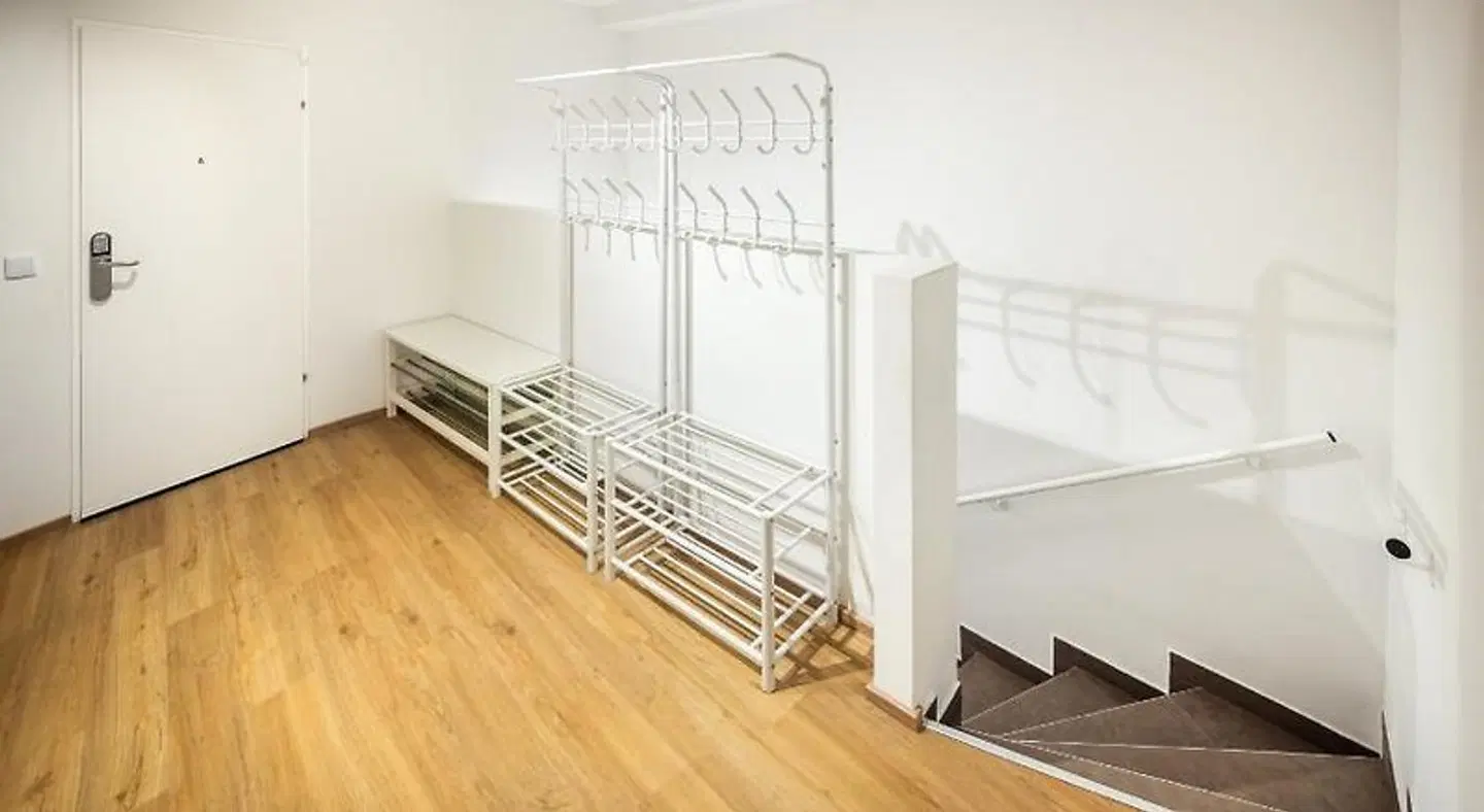 Jimmy's Apartments Dandelion MODEL_IMPRESSION