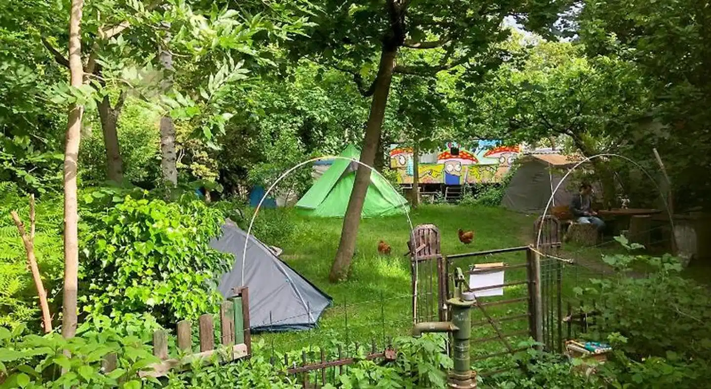 Sandino Worldimprovement Network Garten