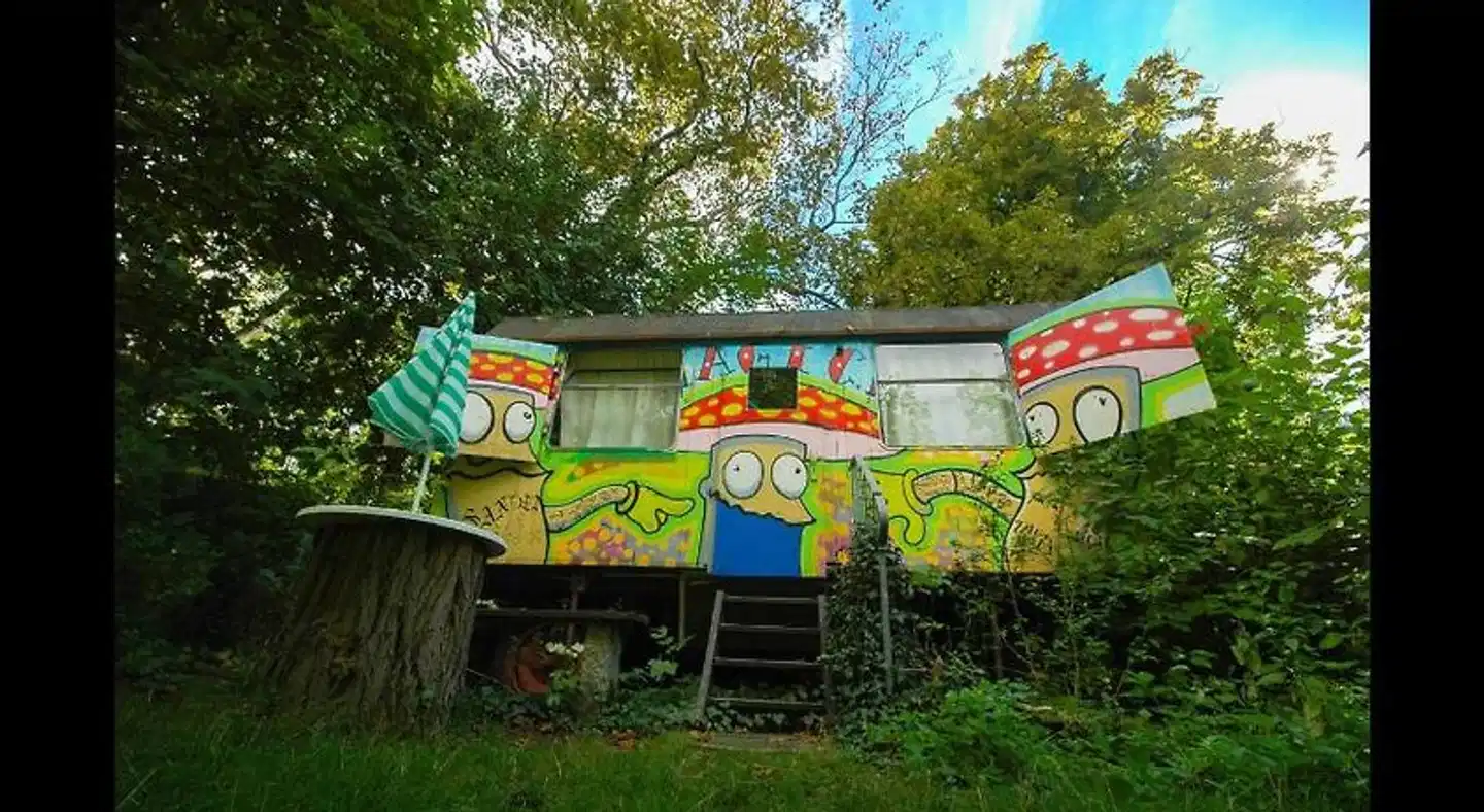 Sandino Worldimprovement Network Sport und Entertainment